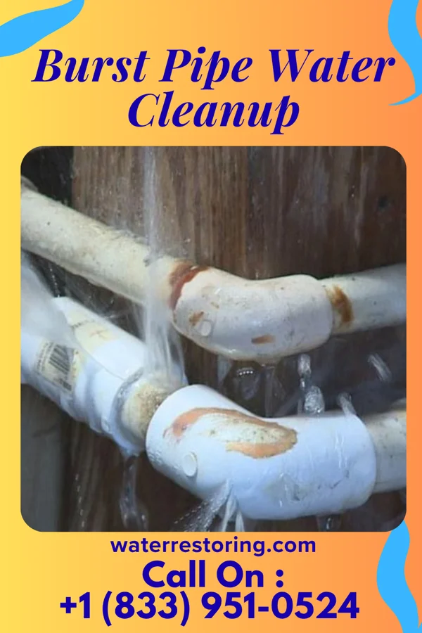 Burst Pipe Water Cleanup in Richland, IN