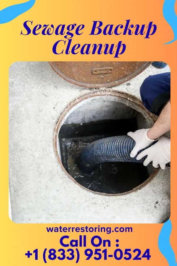 Sewage Backup Cleanup in Richland, IN