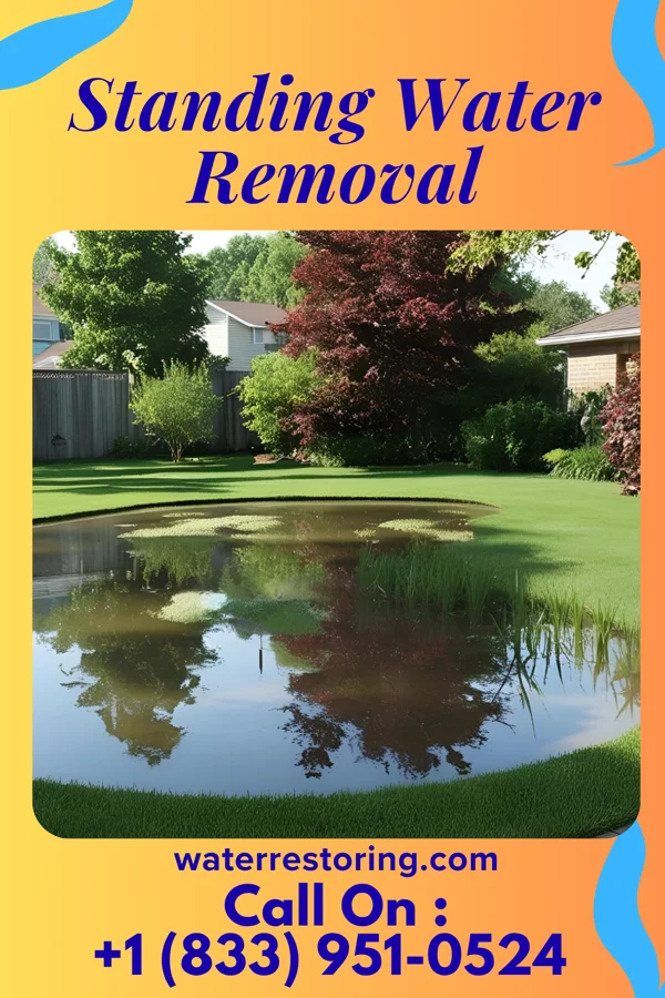 Standing Water Removal in Richland, IN